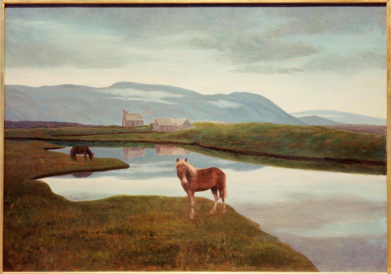 Þingvellir द्वारा थोरिनन बी थोरलाकसन