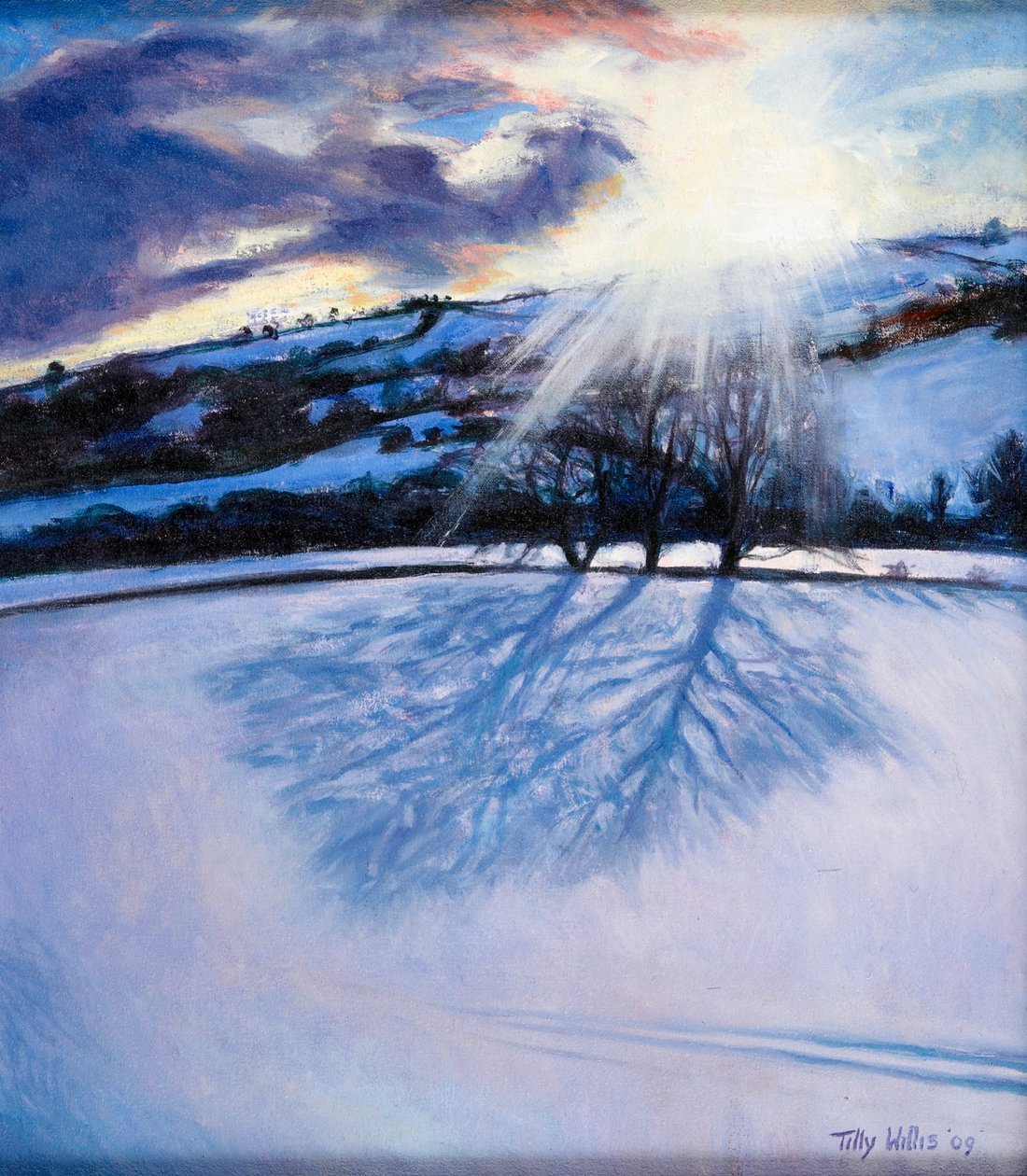 हिम छाया, 2009 द्वारा टिली विलिस