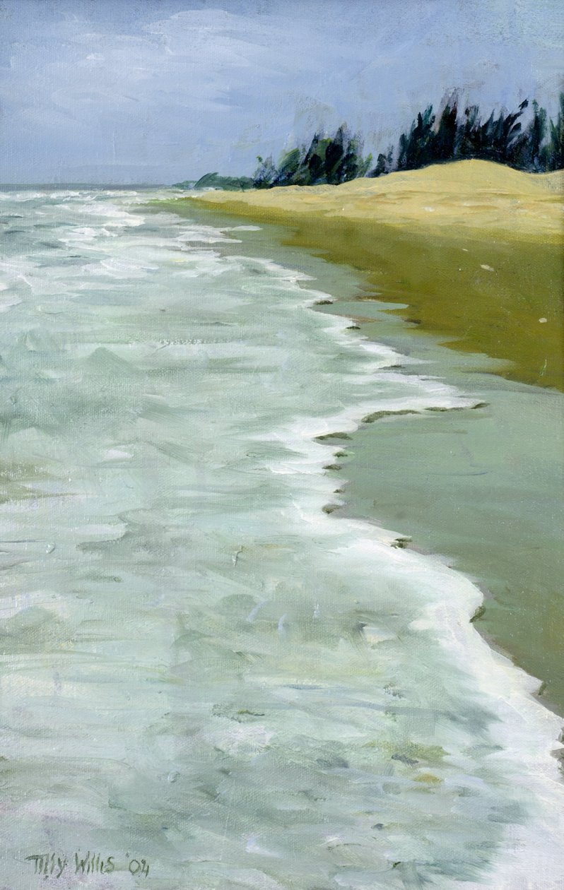 द बीच, 2004 द्वारा टिली विलिस