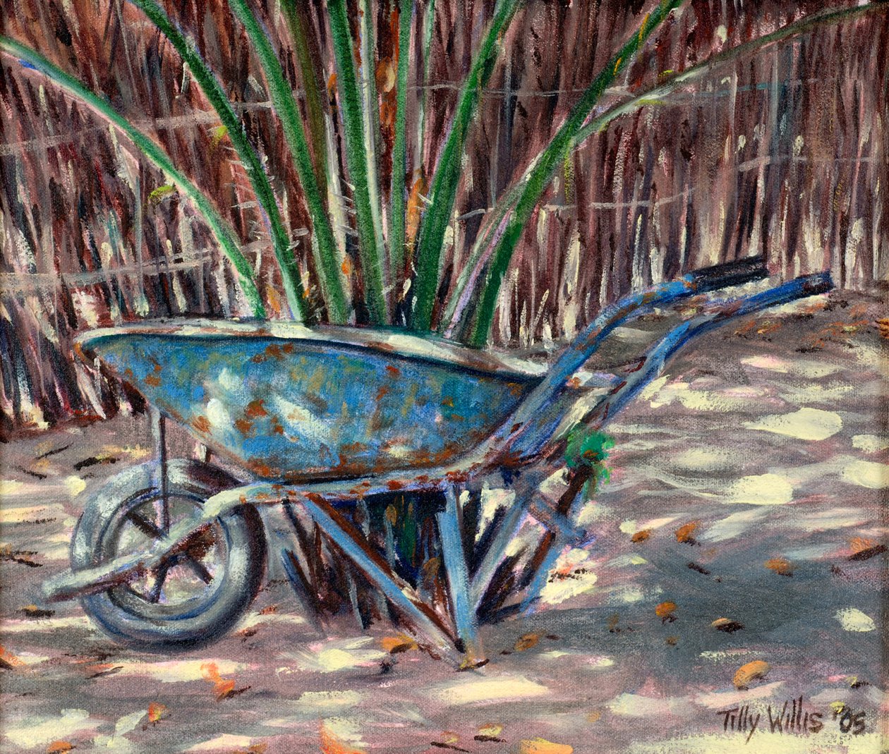 व्हीलब्रो, 2005 द्वारा टिली विलिस