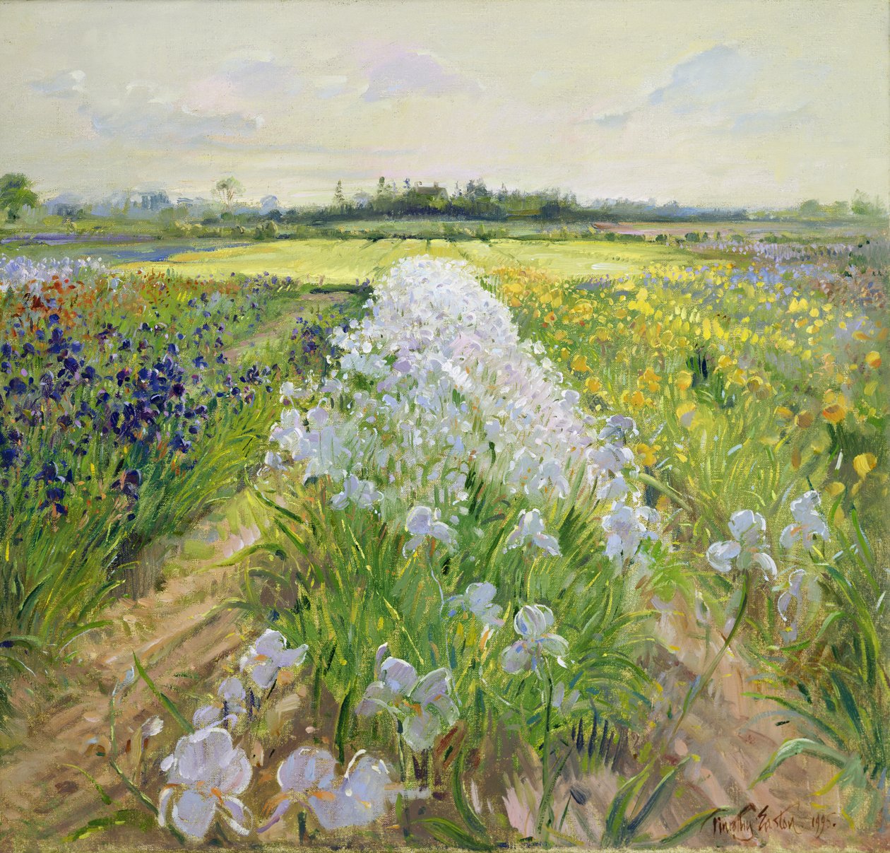 डाउन द लाइन, 1995 द्वारा टिमोथी ईस्टन