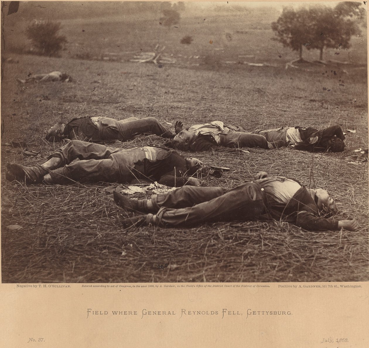 फ़ील्ड जहां जनरल रेनॉल्ड्स फेल हुए, गेटीसबर्ग, 5 जुलाई, 1863 द्वारा टिमोथी एच. ओ'सुल्लीवान
