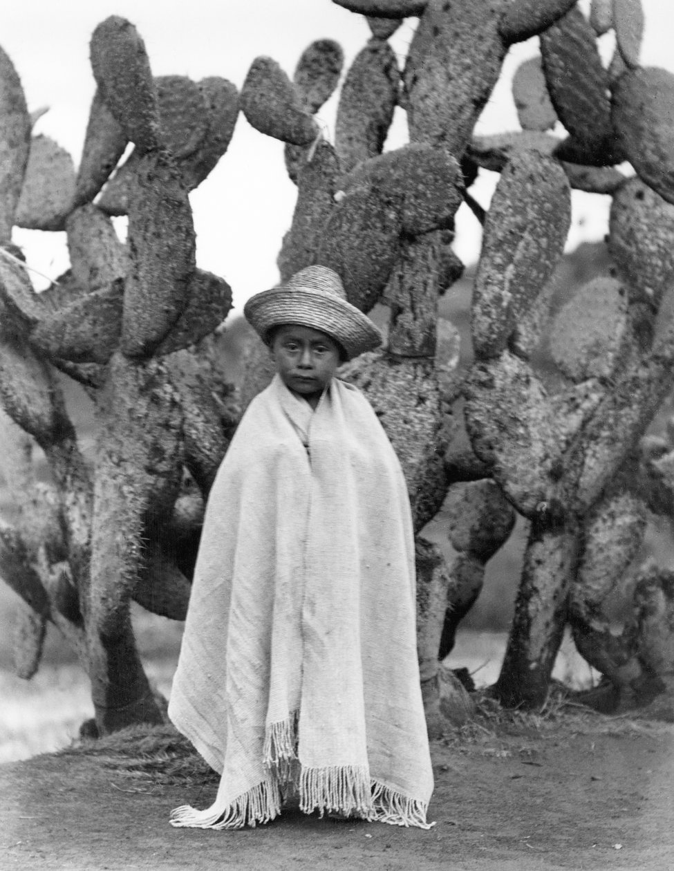 कैक्टस के सामने लड़का, वेराक्रूज राज्य, मेक्सिको, 1927 (bw फोटो) द्वारा टीना मोडोटी