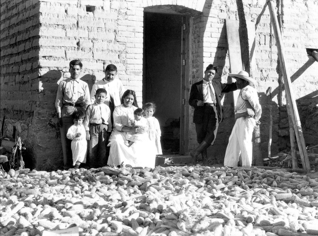 परिवार के साथ मकई, वेराक्रूज राज्य, मेक्सिको, 1927 द्वारा टीना मोडोटी
