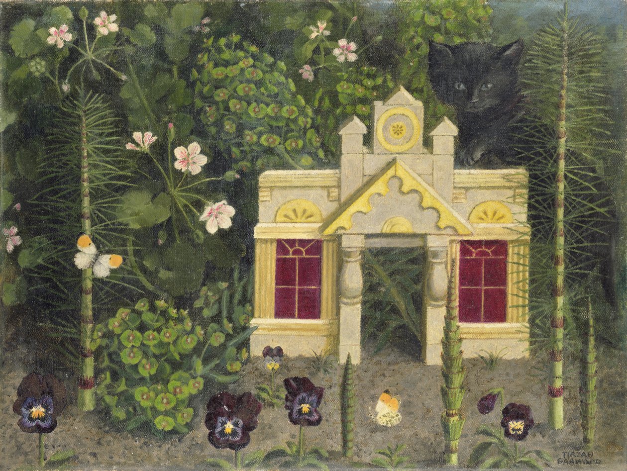  द्वारा तिरज़ा रैविलियस