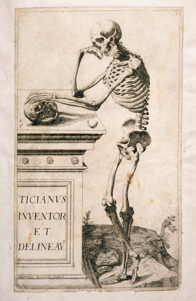 Domenico Maria Bonavera (b.1640) (नक़्क़ाशी और ड्राईपॉइंट) द्वारा शारीरिक अध्ययन, द्वारा टिज़ियानो वेकेली