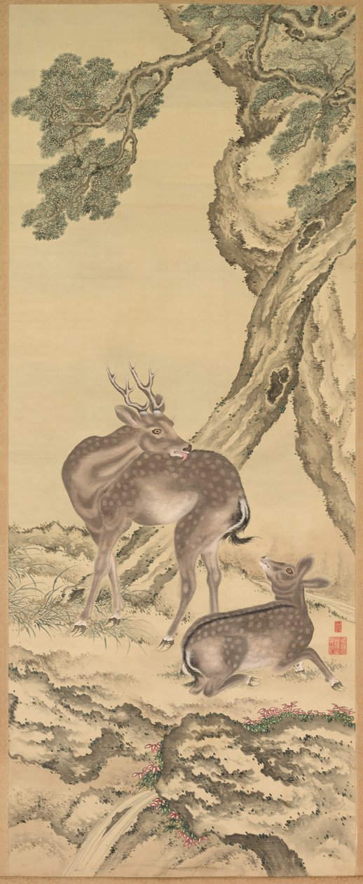  द्वारा टोडा तड़नाका