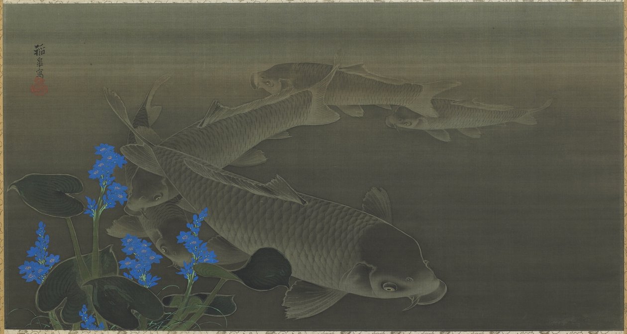 कार्प, एडो अवधि, 1787-1846 (रेशम पर स्याही का रंग) द्वारा तोको कुरोदा