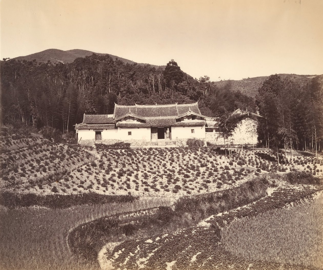 पेलिंग में टीफील्ड और जोसहाउस, सीए। 1869. द्वारा तुंग हिंग।