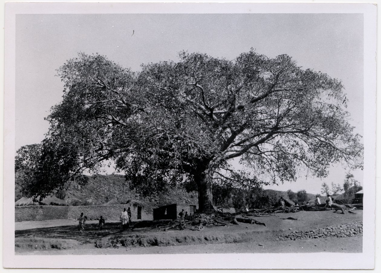  द्वारा उगो मोनेरेट डी विलार्ड