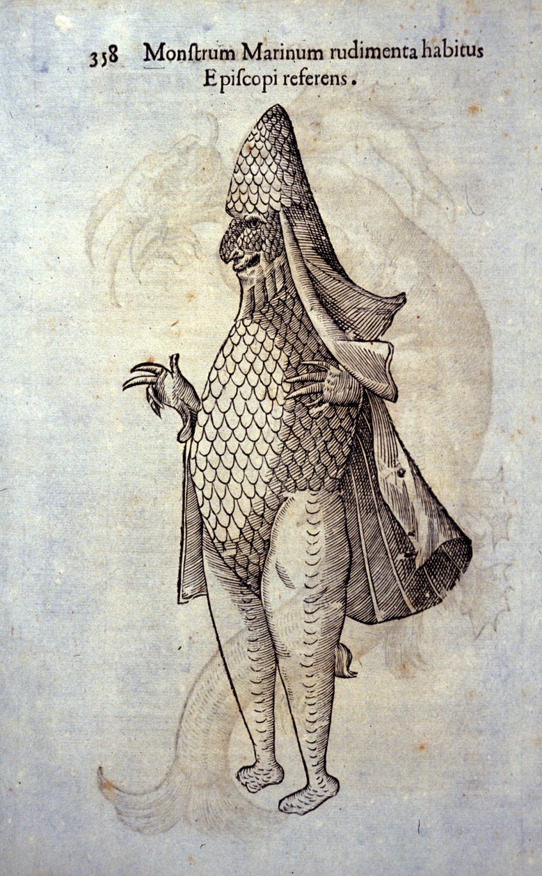 उलिससे एल्ड्रोवंडी (1522-1605), "मॉन्स्टर हिस्ट्री", "बोलोग्ना 1642" द्वारा समुद्र फेवेक, काल्पनिक मछली और समुद्री राक्षस द्वारा उलिससे अल्डरोवंडी