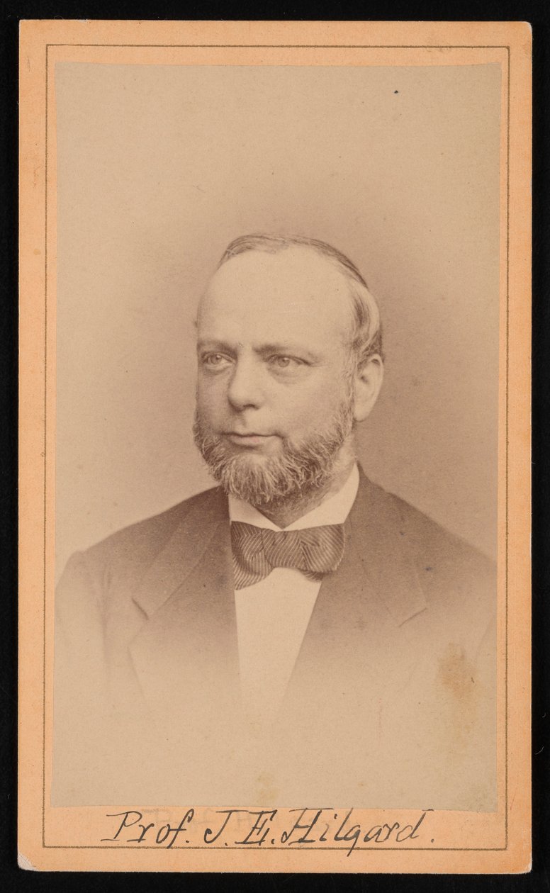 जूलियस इरास्मस हिलगार्ड का पोर्ट्रेट 1825-1891, 1873। द्वारा उल्के ब्रोस