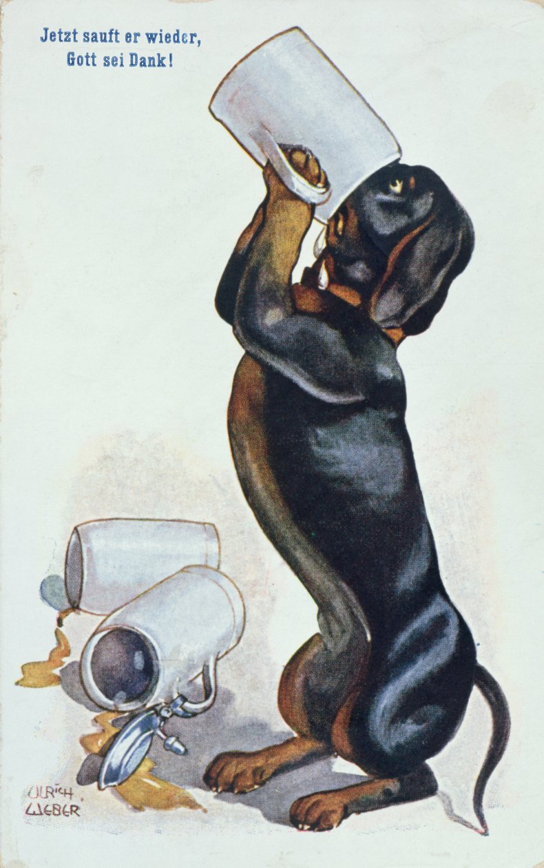 एक Dachshund पीने की बीयर, c.1900 द्वारा उलरिच वेबर