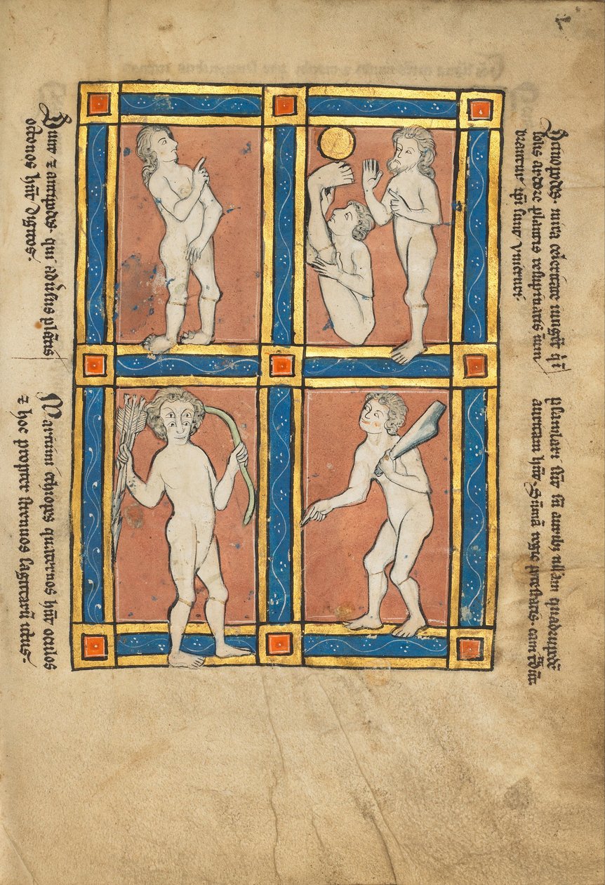 पोप का प्रतियोगी; Scinopode; तटीय इथियोपिया; Psalmlarus द्वारा अज्ञात अज्ञात