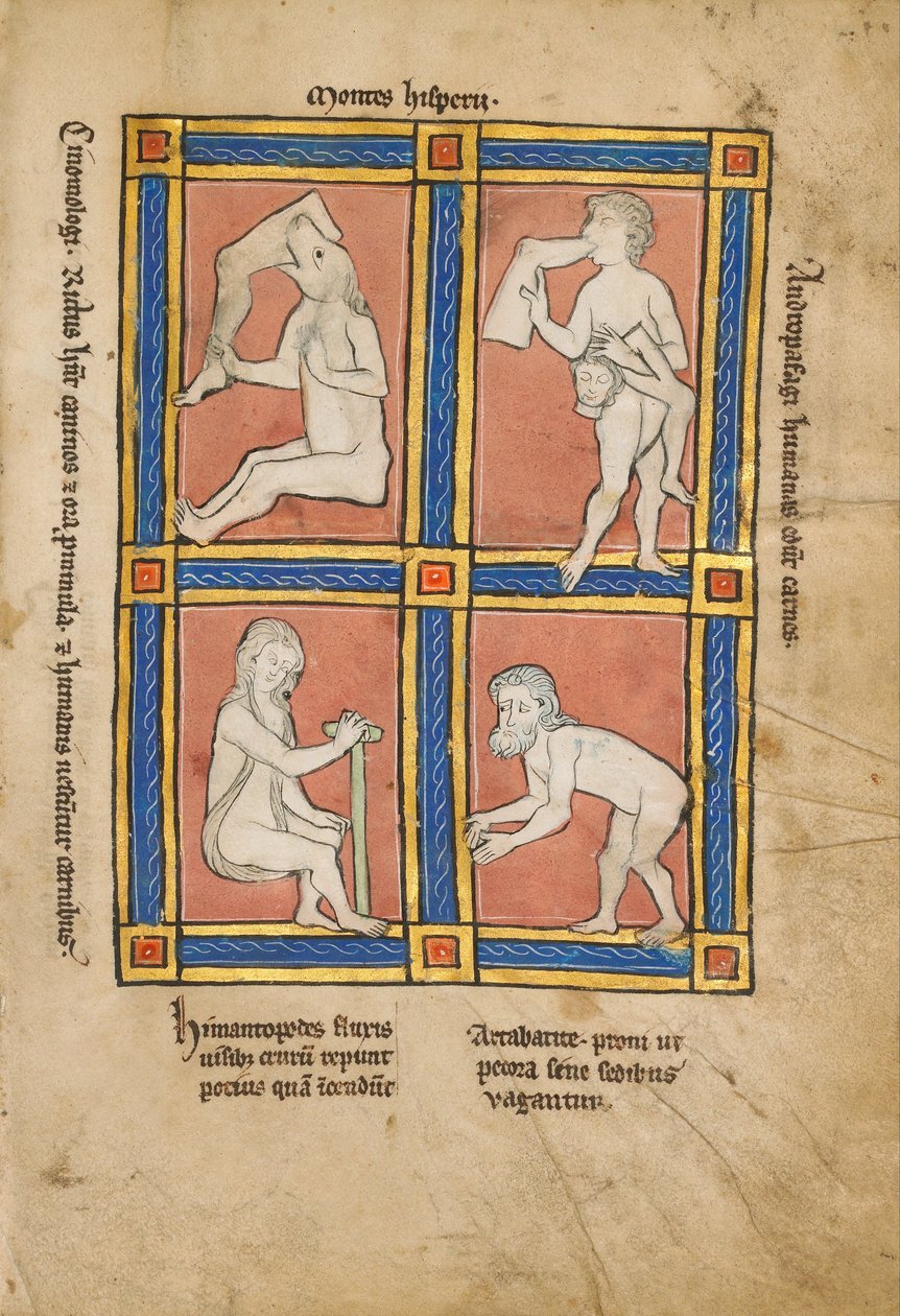 Cinomologus; Anthropophagus; Himantopode; Artabatite द्वारा अज्ञात अज्ञात