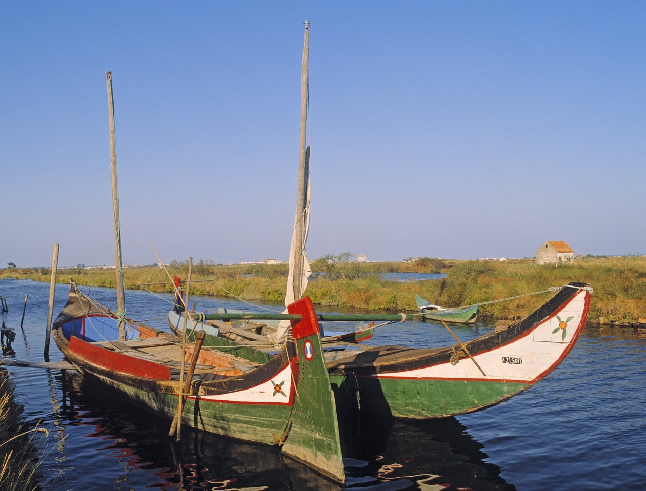 मोलिसिरोस एक नहर में द्वारा अज्ञात अज्ञात