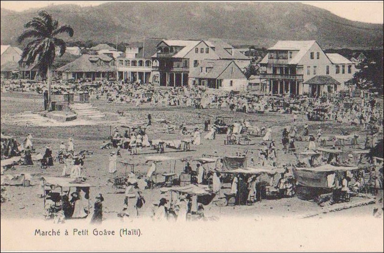 19356N हैती पीट गोवे से चलता है द्वारा अज्ञात