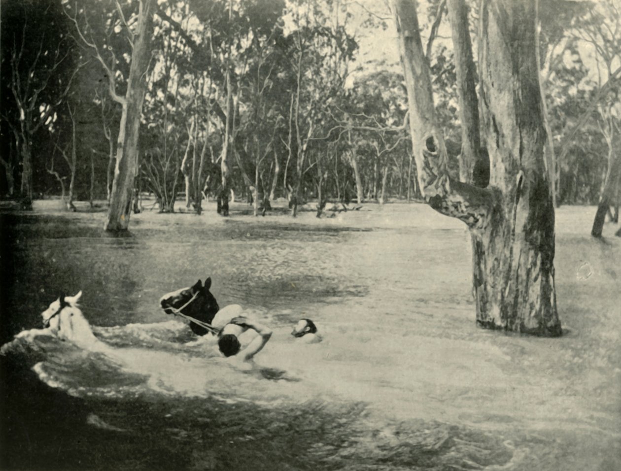 ए बैंकर, 1901। द्वारा अज्ञात