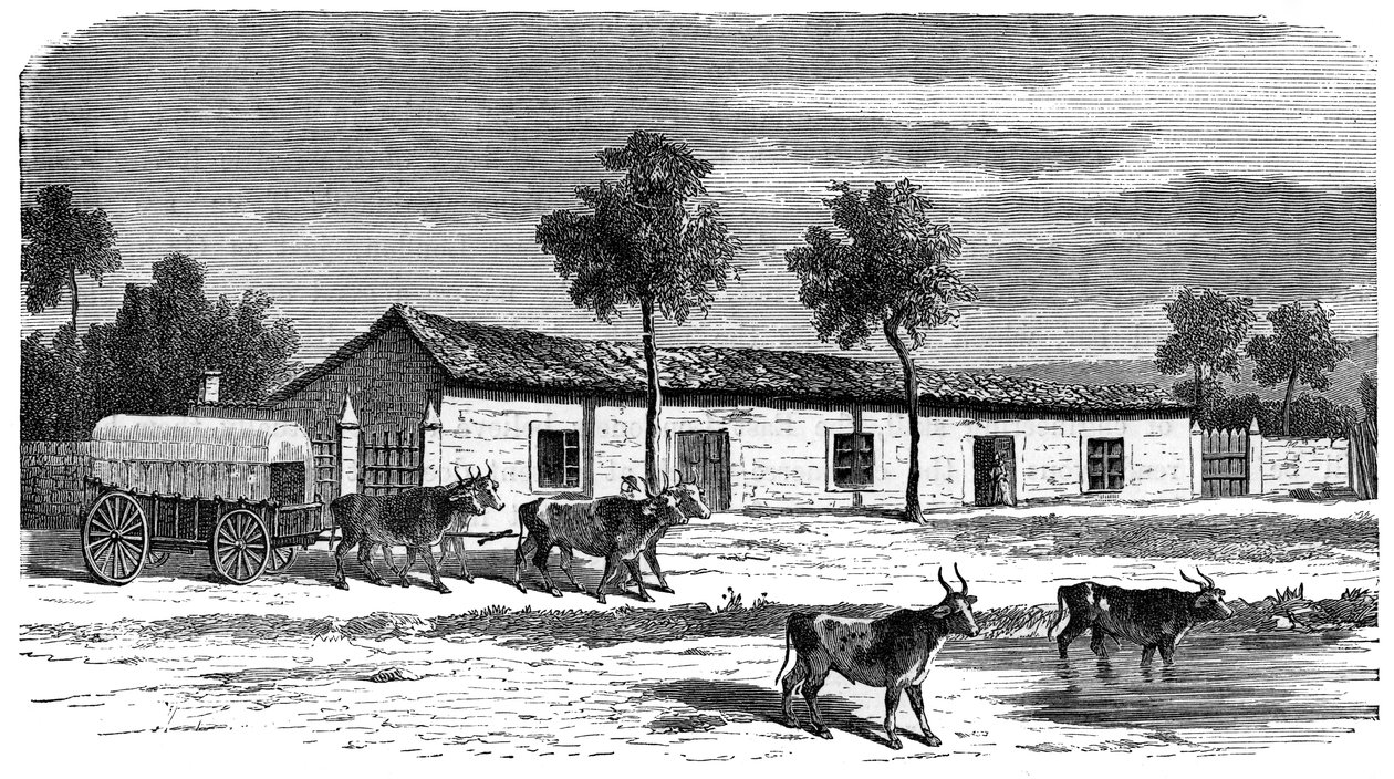 बोअर फार्म, दक्षिण अफ्रीका, c1890 द्वारा अज्ञात