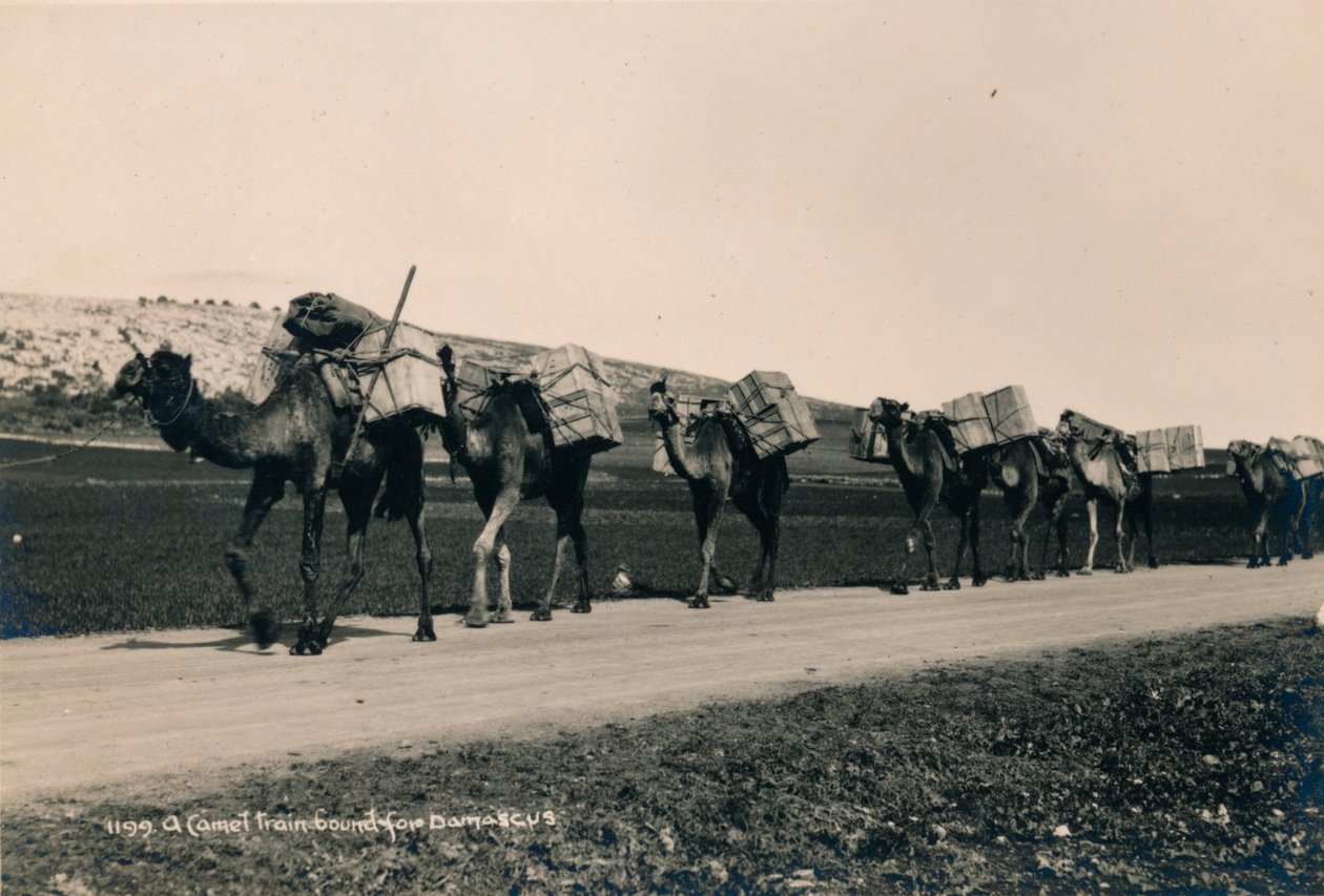 1936 में दमिश्क के लिए एक कैमल ट्रेन बंधी द्वारा अज्ञात