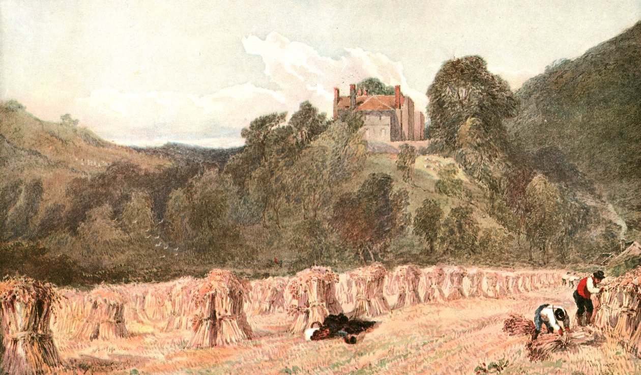 ए कॉर्नफील्ड, c1840s, c1900। द्वारा अज्ञात