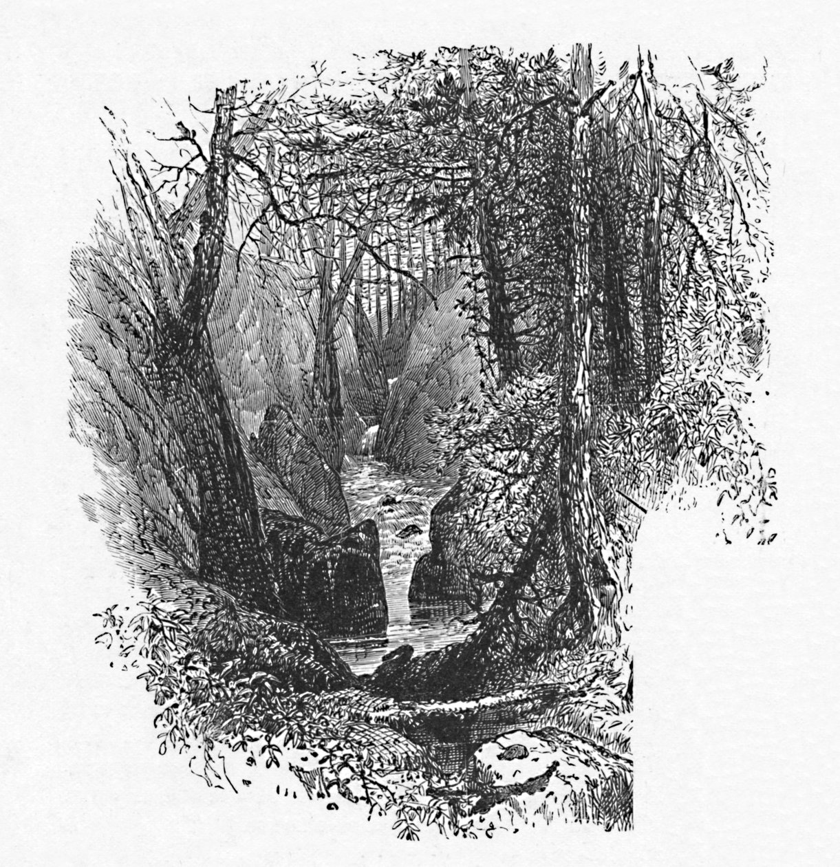 ए फीडर टू द लेक, 1883 द्वारा अज्ञात