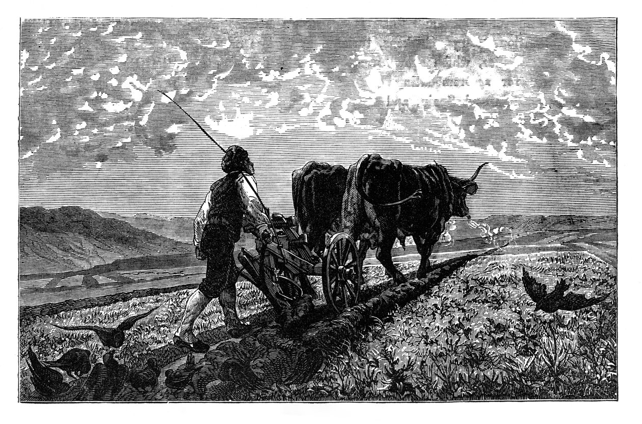 एक फ्रांसीसी कृषक, c1890 द्वारा अज्ञात