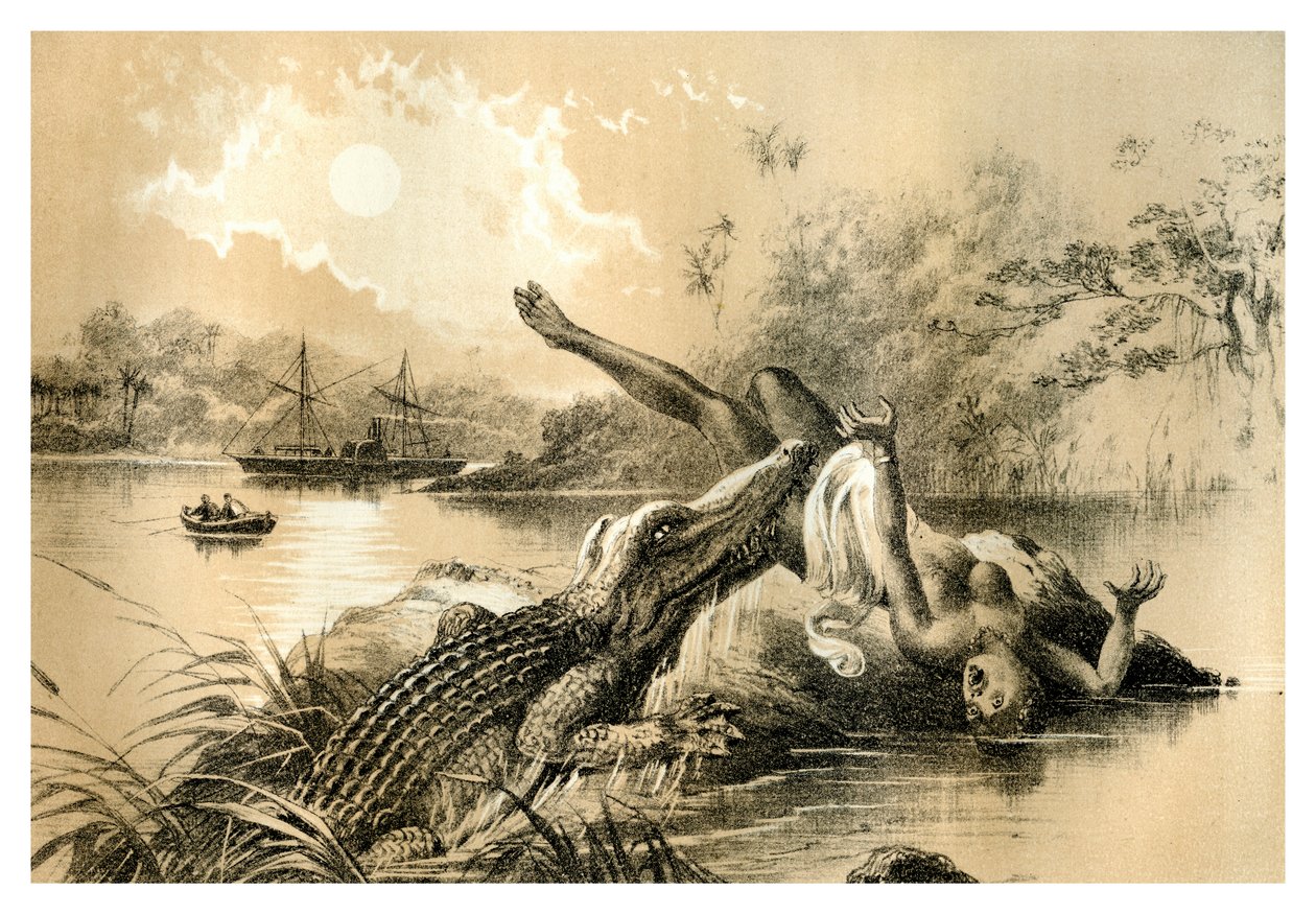 एक आनंदमय घटना, 1883 द्वारा अज्ञात