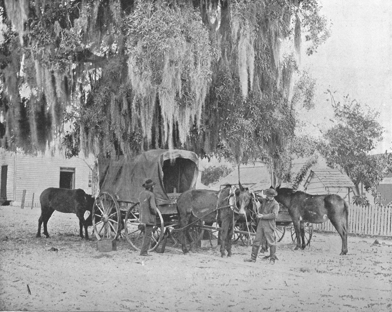 सैन एंटोनियो, टेक्सास, संयुक्त राज्य अमेरिका से एक व्यापारी, c1900। द्वारा अज्ञात
