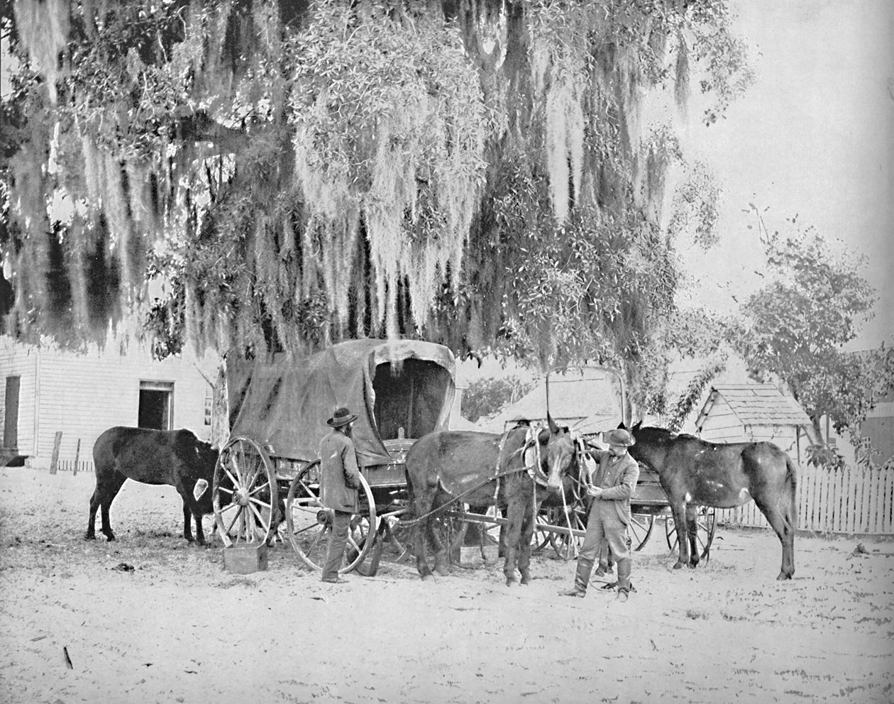 सैन एंटोनियो, टेक्सास से एक व्यापारी, c1897। द्वारा अज्ञात