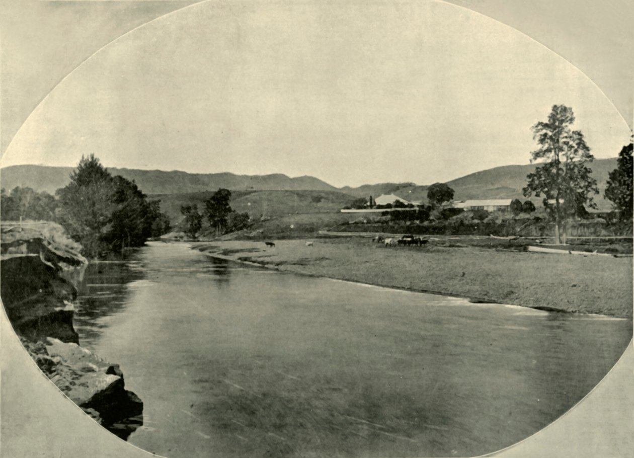 ए न्यू साउथ वेल्स स्टेशन होमस्टेड, 1901। द्वारा अज्ञात