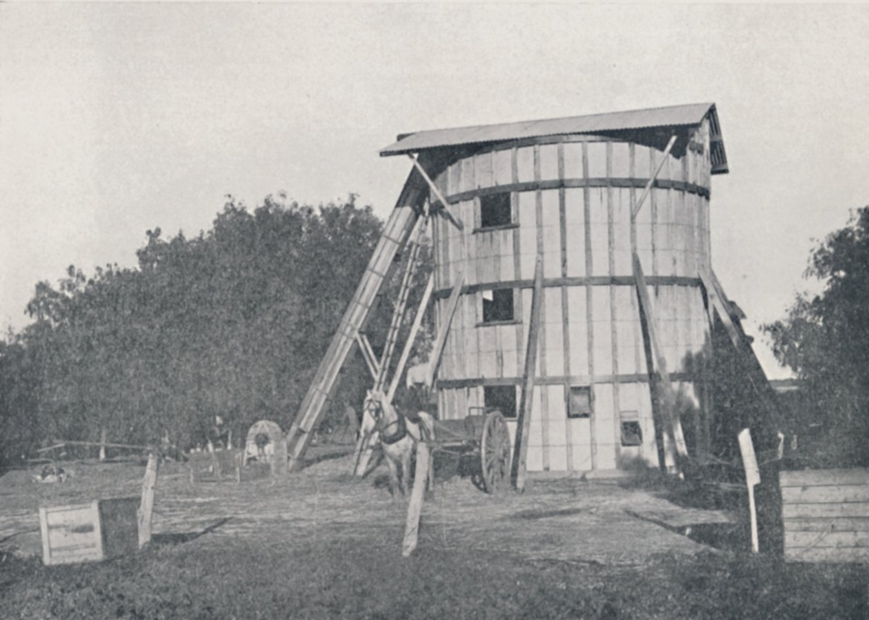 ए सिलो, माइल्डुरा, विक्टोरिया, 1923 के पास। द्वारा अज्ञात