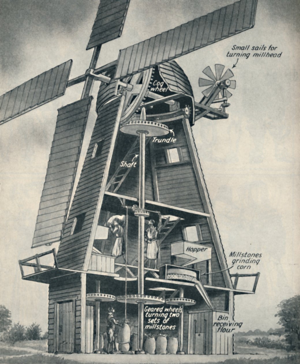 स्टुअर्ट डेज़ में एक स्मॉक विंडमिल, c1934 द्वारा अज्ञात