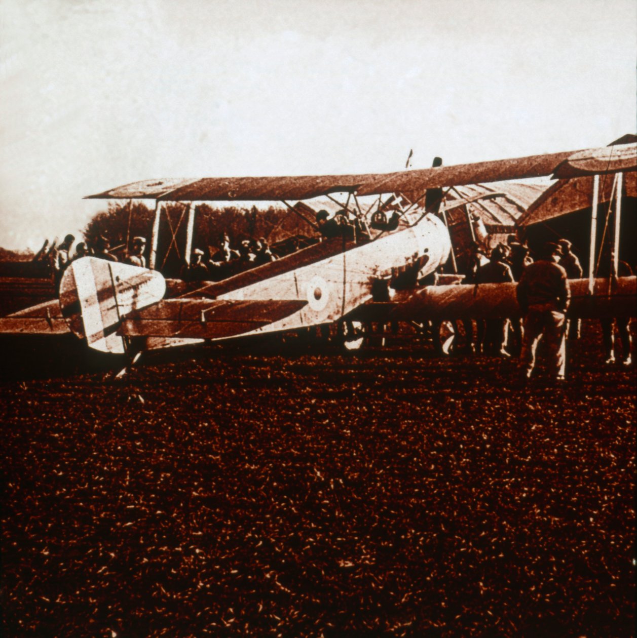 ए सोपविथ कैमल, c1917-c1918 द्वारा अज्ञात