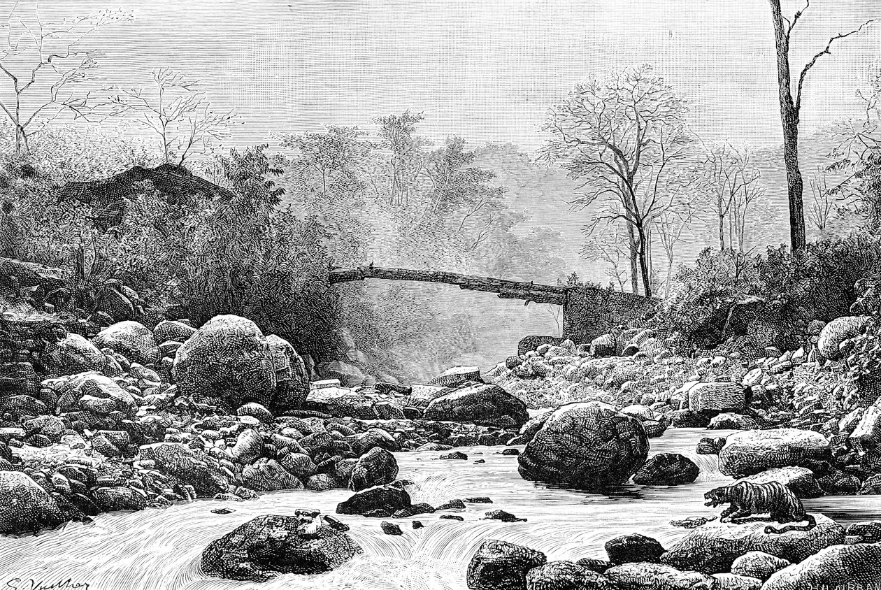 भारत की तीस्ता नदी की एक सहायक नदी रंगित पर एक पुल, 1895 द्वारा अज्ञात