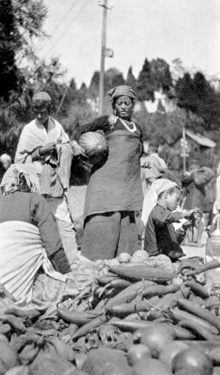 दार्जिलिंग, पश्चिम बंगाल, भारत में एक खाद्य बाजार, c1910 द्वारा अज्ञात