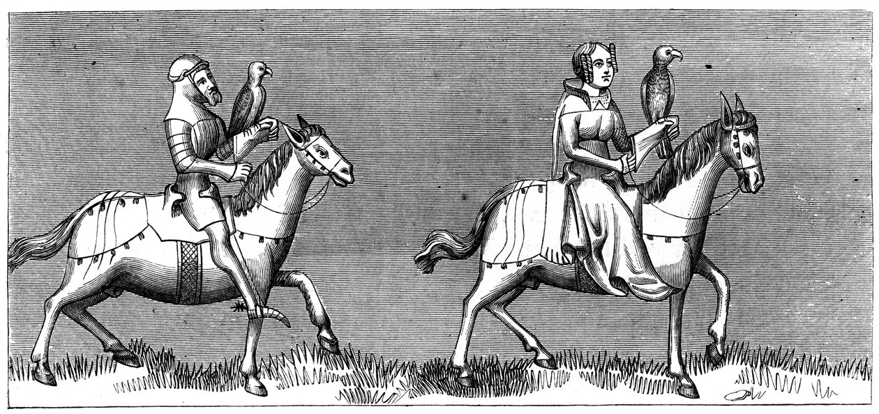 14 वीं शताब्दी 1849 में, हॉकिंग की स्थापना करती एक महिला द्वारा अज्ञात