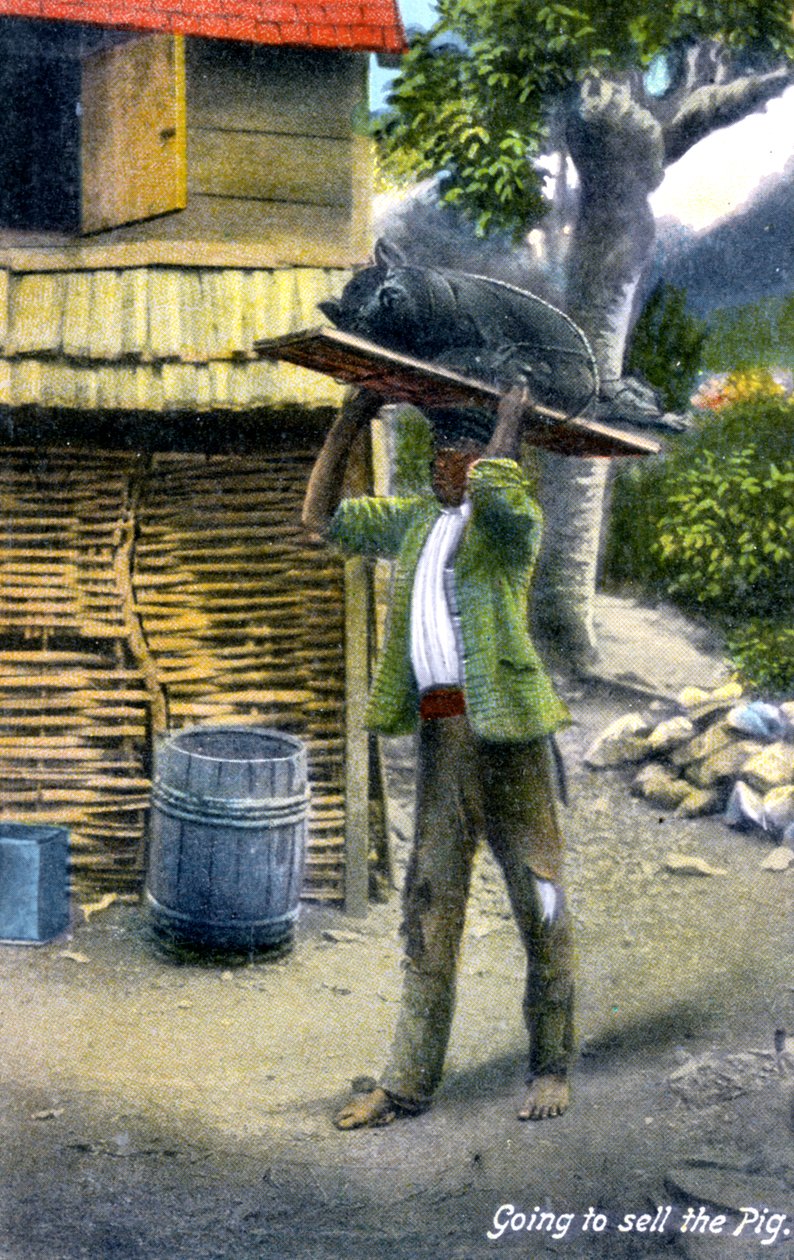 एक आदमी एक सुअर, जमैका, c1900s बेचने के लिए बाजार के रास्ते पर है द्वारा अज्ञात