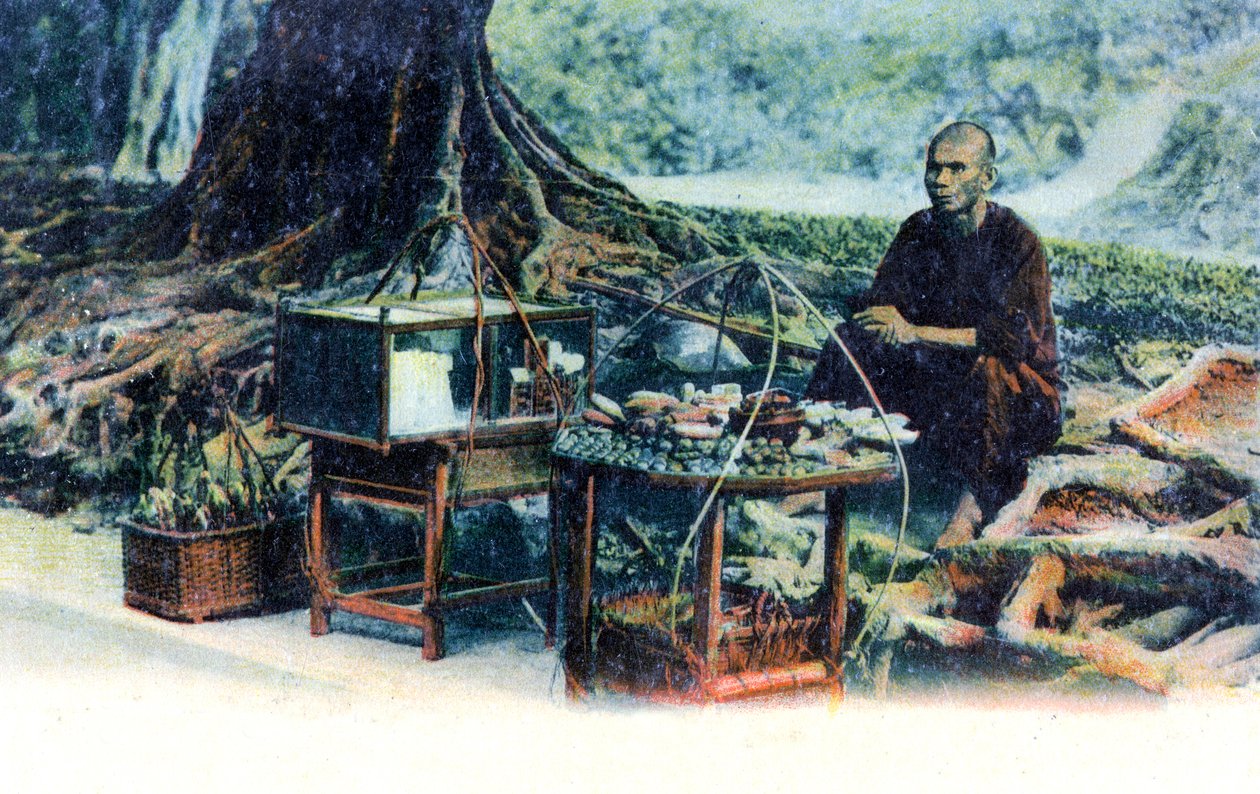 एक पेड़ के नीचे फल बेचने वाला एक आदमी, हांगकांग, चीन, c1900s द्वारा अज्ञात