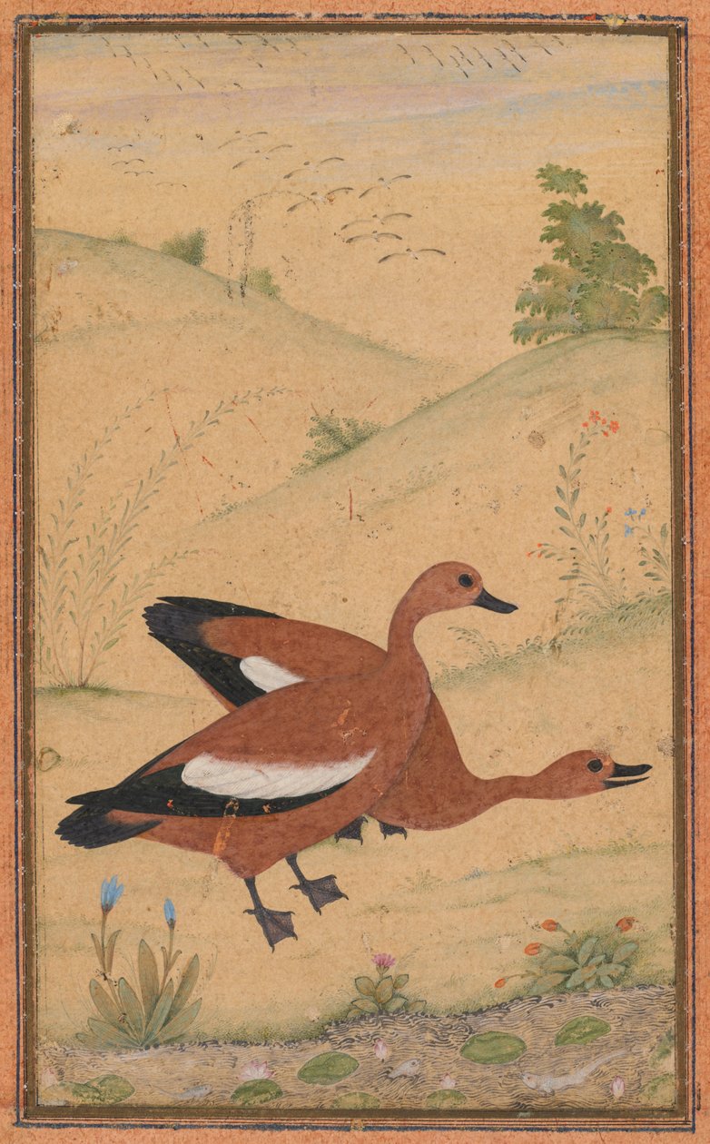 ब्राह्मणी बतख की एक जोड़ी, सी। 1595, सीमाओं ने शायद 1800s जोड़ा। द्वारा अज्ञात