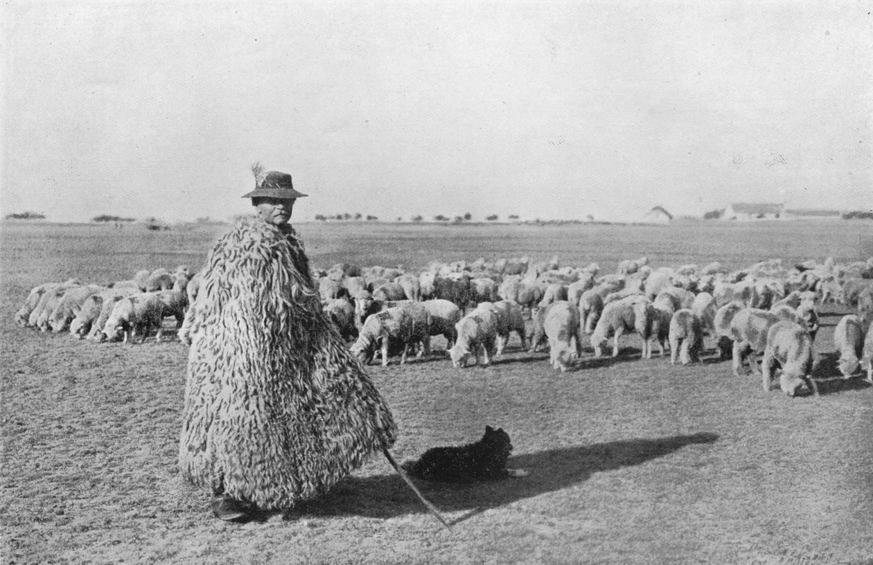 हंगरी के मैदानों पर एक विशिष्ट चरवाहा और उसका झुंड, 1915 द्वारा अज्ञात