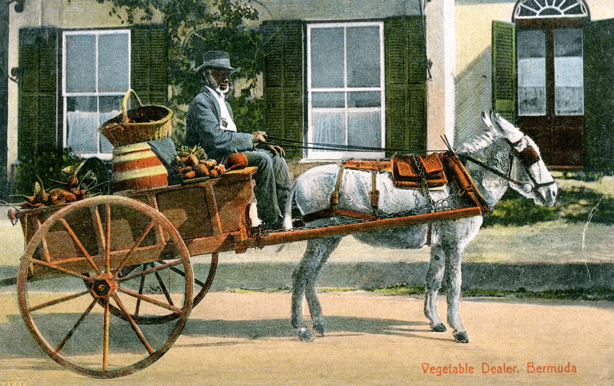 एक सब्जी व्यापारी, बरमूडा, c1900s द्वारा अज्ञात