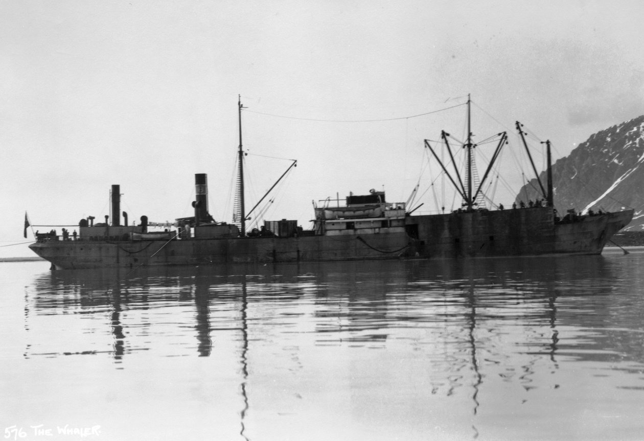 ए व्हेलर, मैग्डलीन बे, स्पिट्जबर्गेन, नॉर्वे, 1929 द्वारा अज्ञात