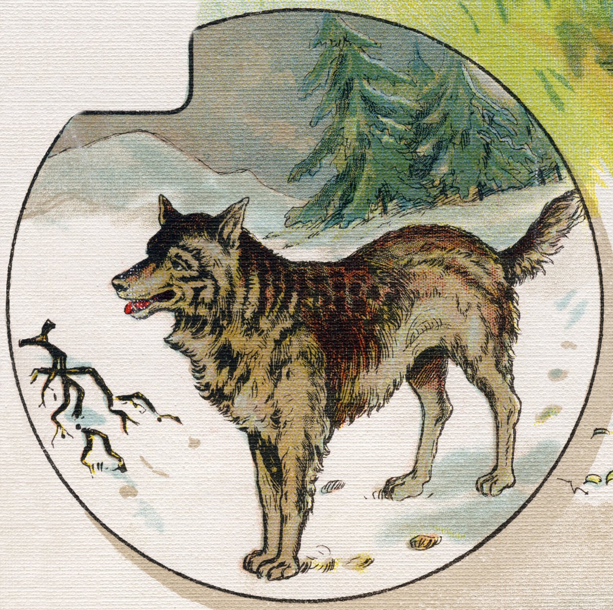 बर्फ में एक भेड़िया। "एबीसी ल'अल्फाबेट डेस बेब्स" में उत्कीर्णन। क्रोमोलिथोग्राफी में कैनवास पर अटूट आयतन। ए कैपेंदु, संपादक, पेरिस। 20वीं सदी की शुरुआत, 1905 के आसपास। अंग्रेजी मूल की इमेजरी, प्रत्येक init . के अनुरूप फ्रेंच में शब्दों के सा द्वारा अज्ञात