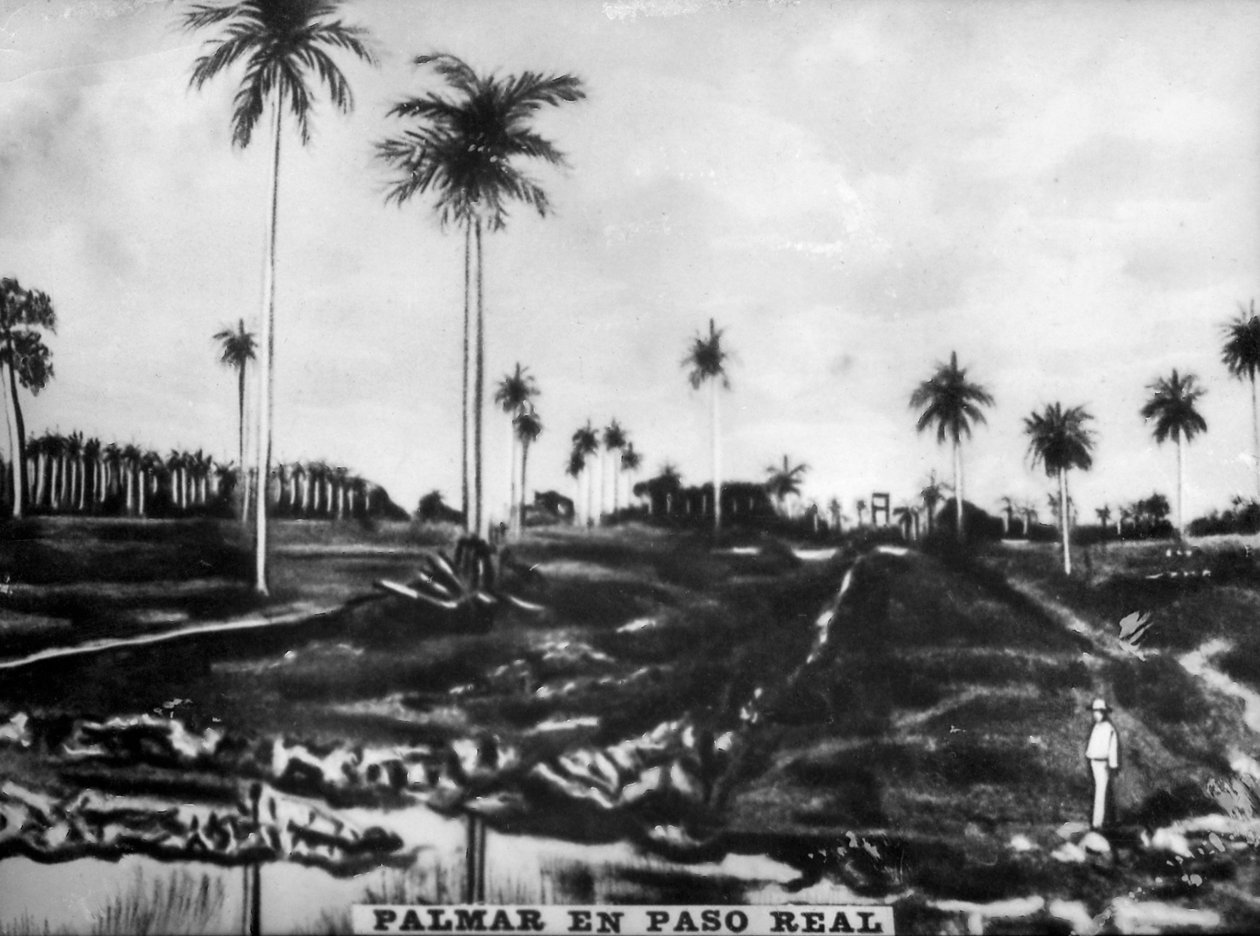 पसोरियल की कार्रवाई, 1896, 1920 के दशक द्वारा अज्ञात
