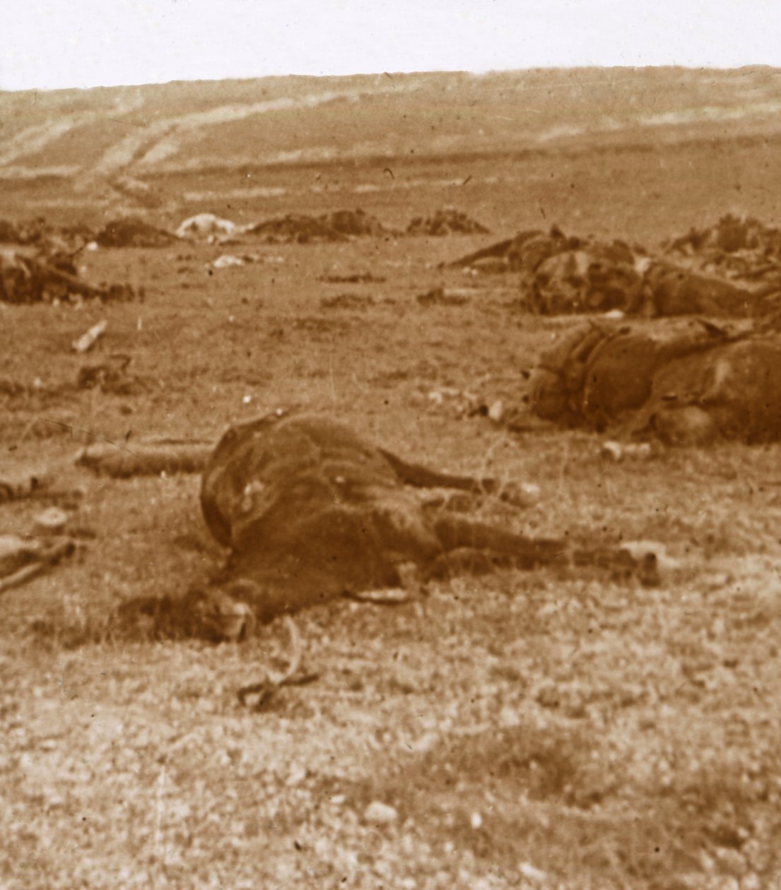 चार्ज के बाद, ब्यूसजोर, उत्तरी फ्रांस, c1914-c1918 द्वारा अज्ञात