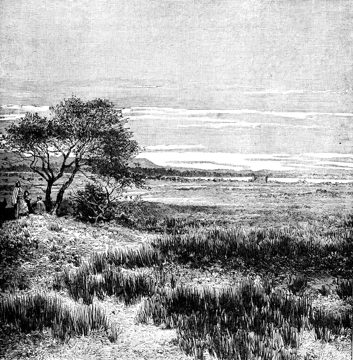 आगा घाटी, सेंट्रल पम्पा, अर्जेंटीना, 1895 द्वारा अज्ञात