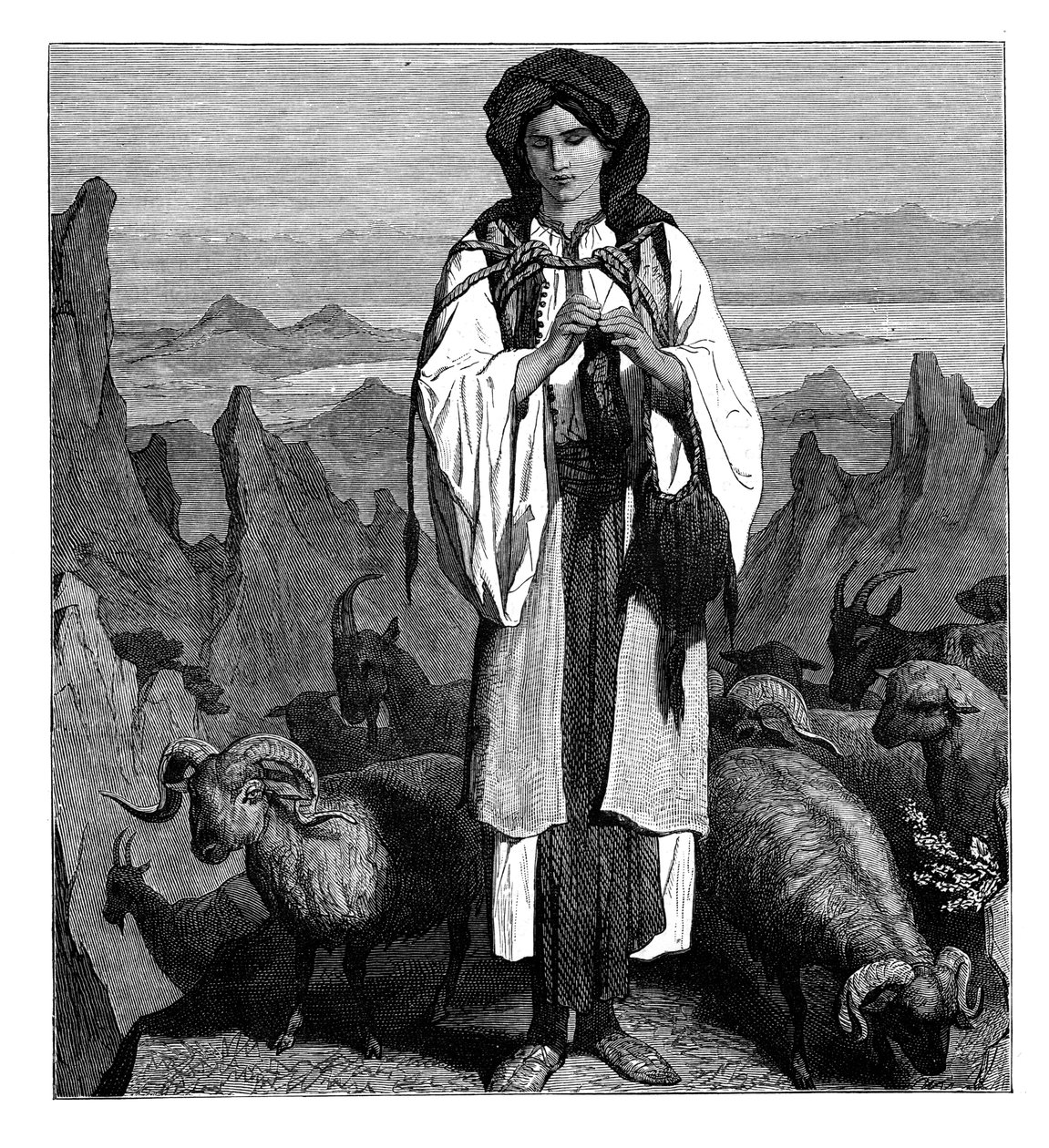 अल्बानियाई चरवाहा, c1890 द्वारा अज्ञात