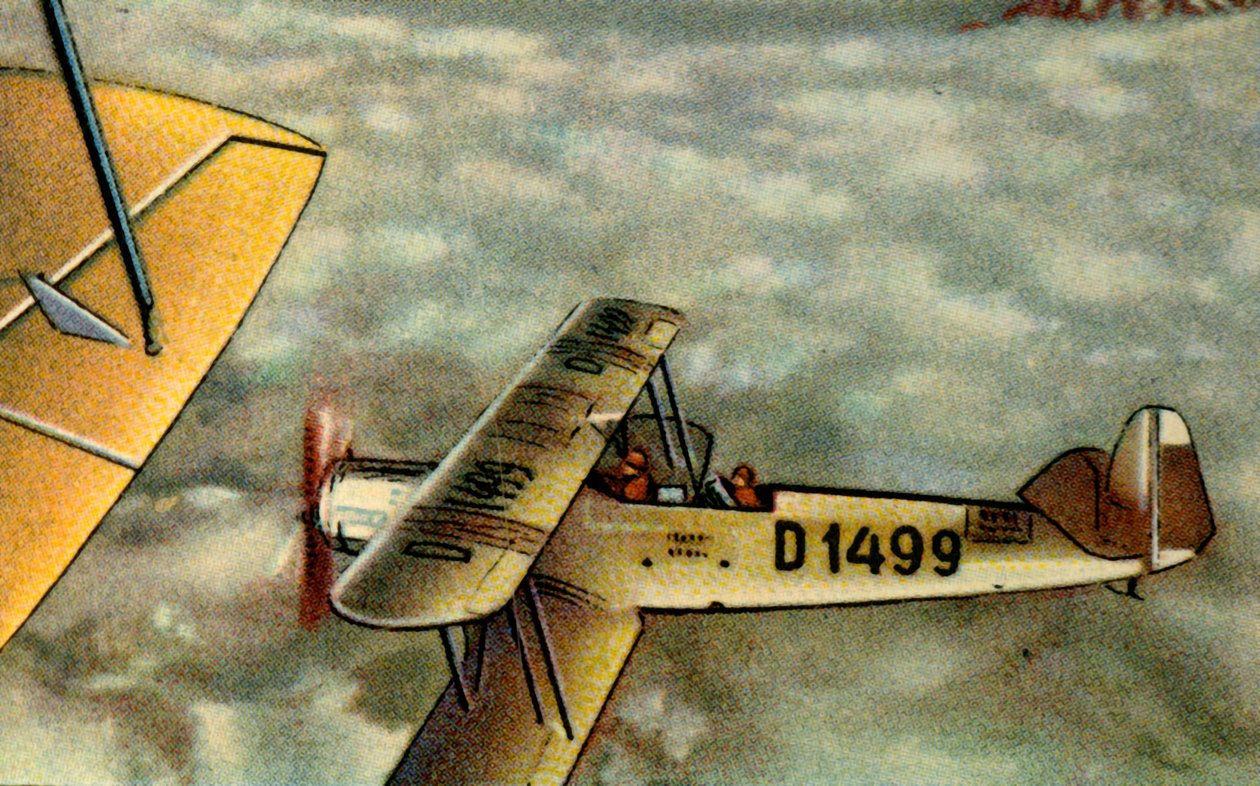एल्बट्रॉस एल 75 गधा विमान, 1920, 1932। द्वारा अज्ञात