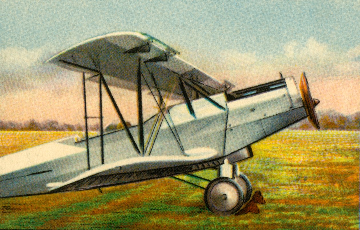 एल्बाट्रॉस एल 75 ए गधा विमान, 1920, 1932। द्वारा अज्ञात